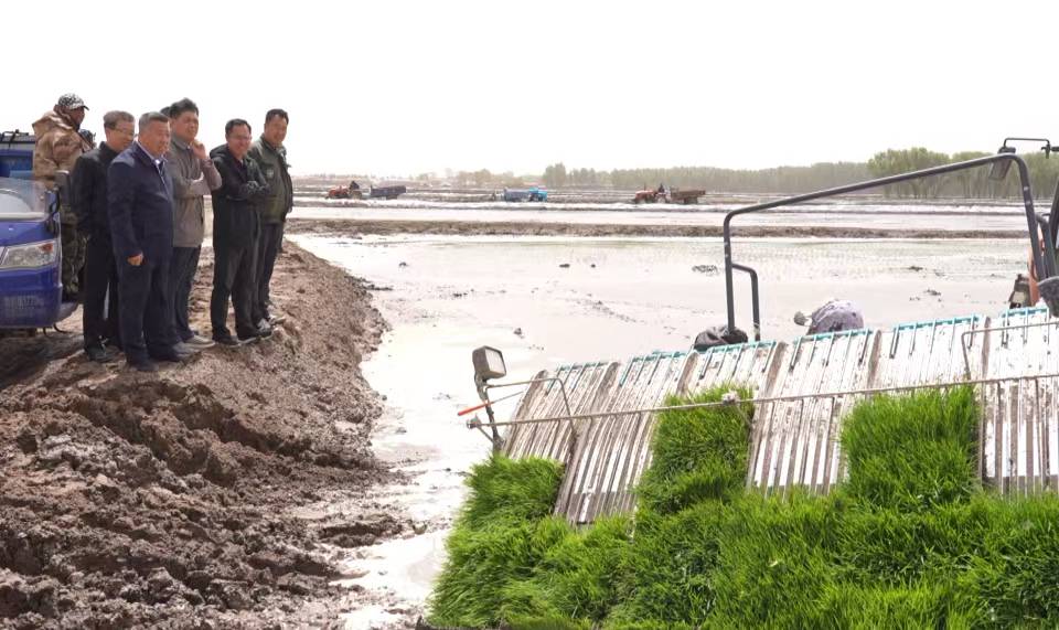 刘江义到水田湿地调研.jpg