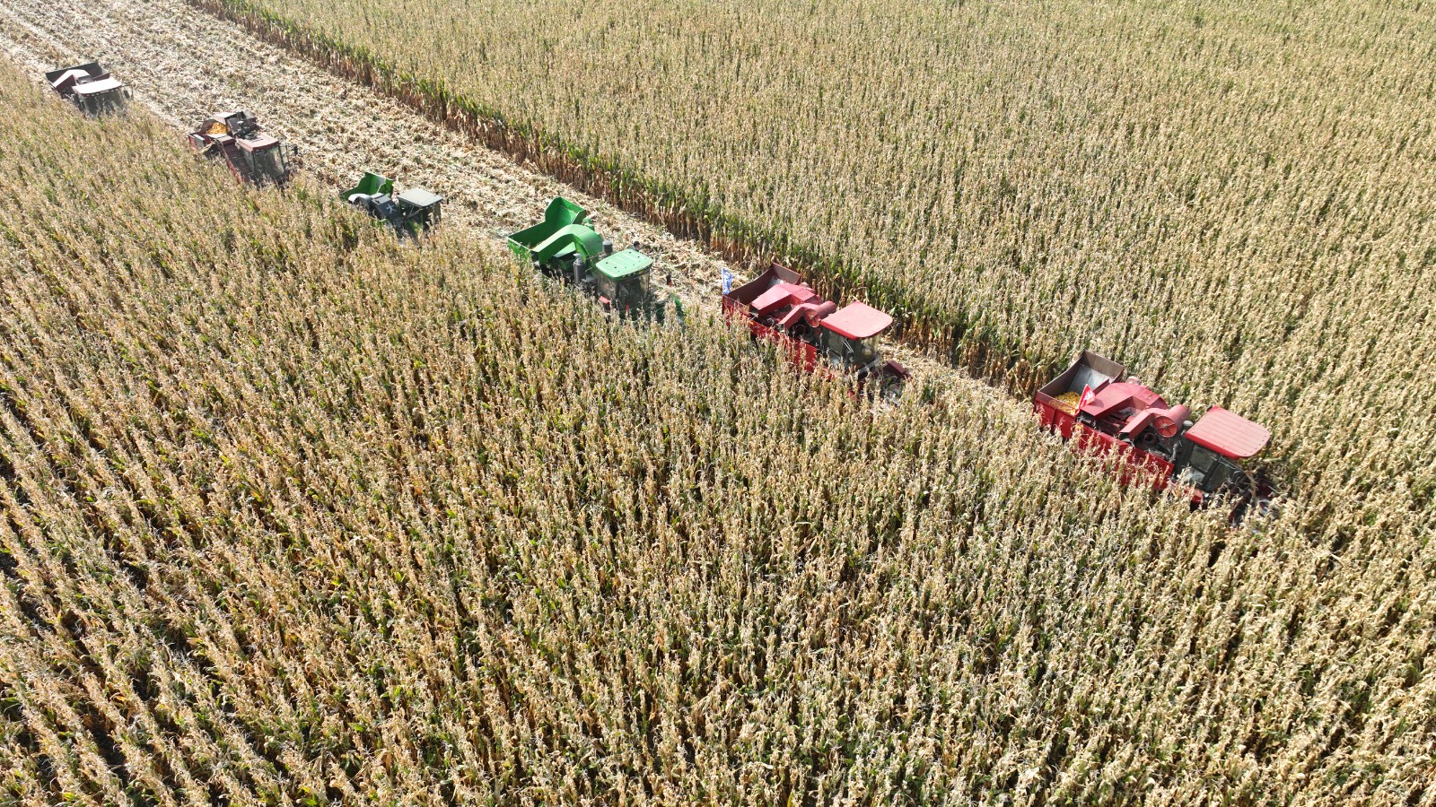 DJI_0642.JPG